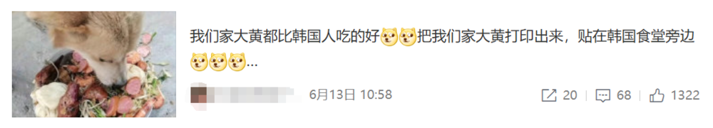 賭馬：喫白人飯的畱學生，陷入平靜的發瘋狀態