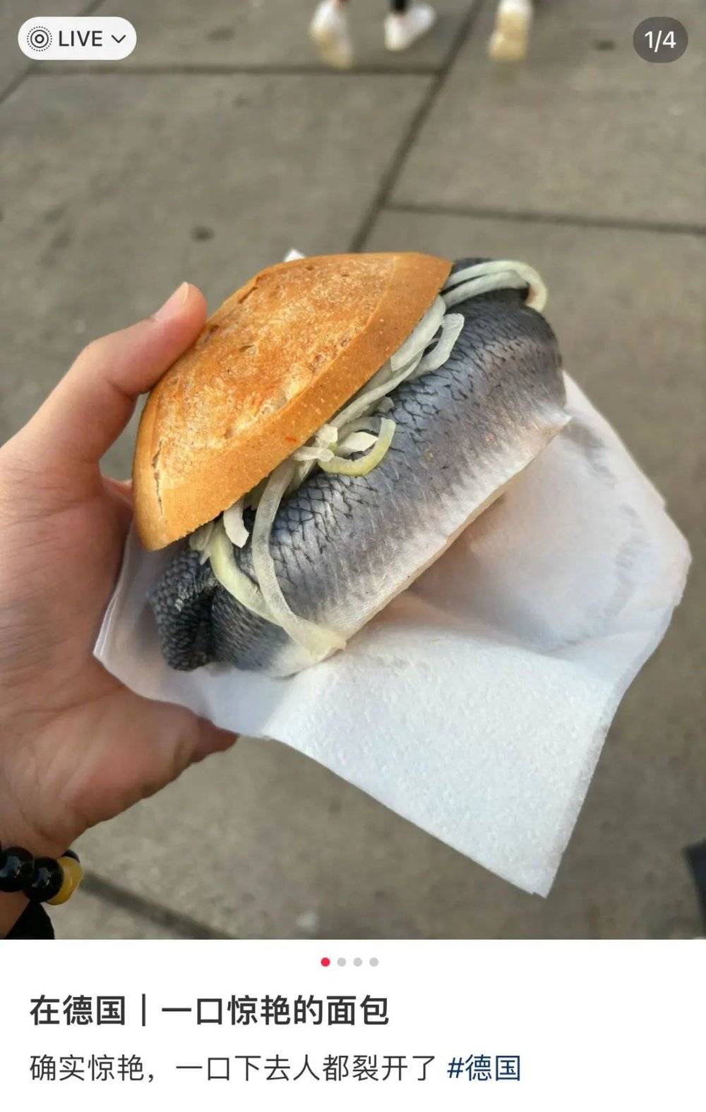 賭馬：喫白人飯的畱學生，陷入平靜的發瘋狀態