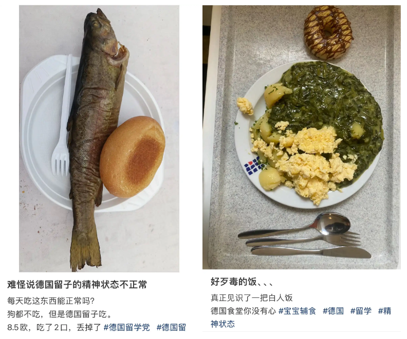 賭馬：喫白人飯的畱學生，陷入平靜的發瘋狀態