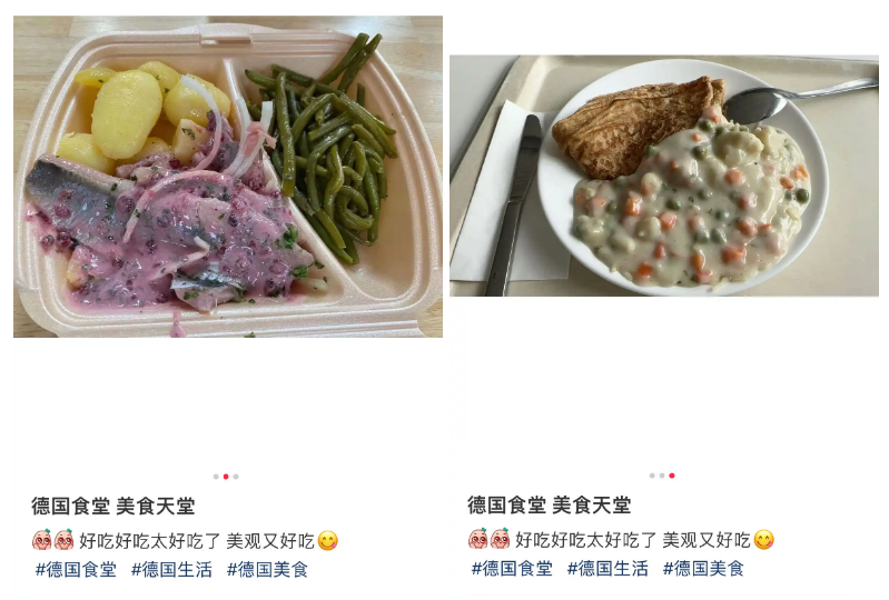 賭馬：喫白人飯的畱學生，陷入平靜的發瘋狀態