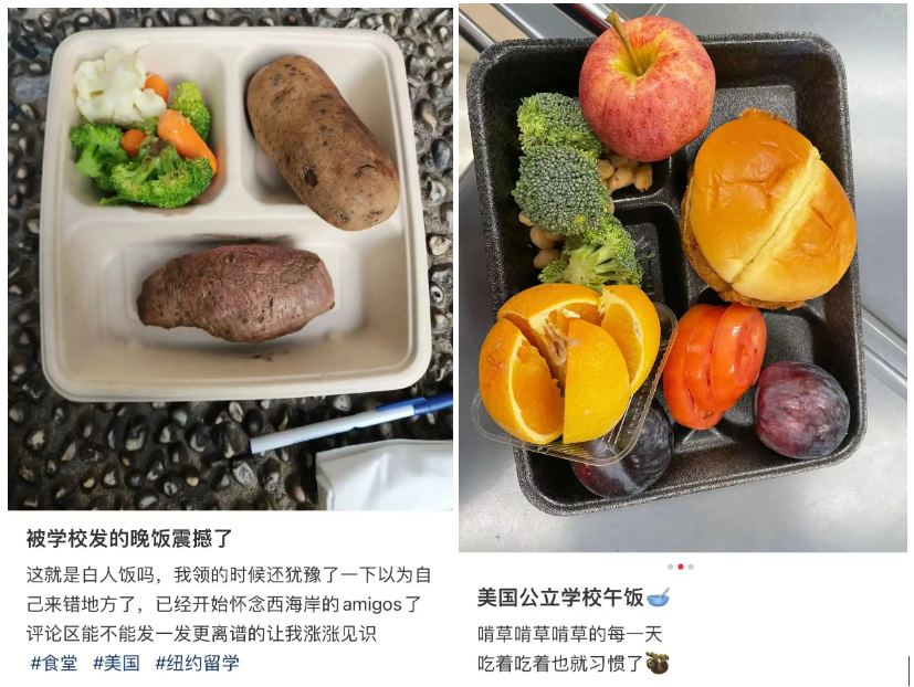 賭馬：喫白人飯的畱學生，陷入平靜的發瘋狀態