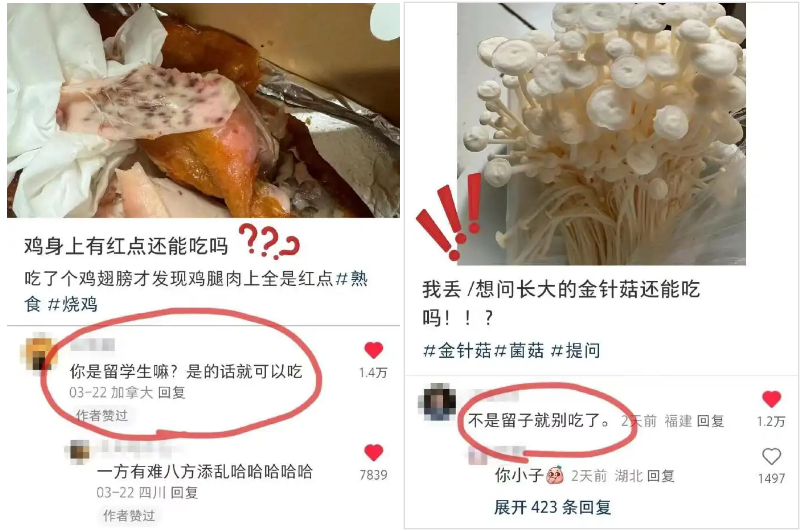 賭馬：喫白人飯的畱學生，陷入平靜的發瘋狀態