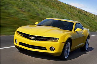 {京世博娛樂}(大黄蜂跑车图片)